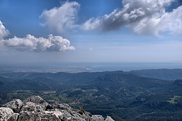 DSC05975 -1_t.jpg